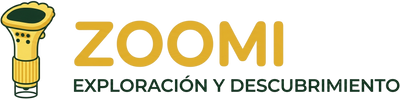 Microscopio Zoomi